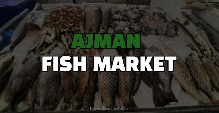 Ajman Fish Market – Timings, Location, Map & More